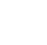 White NetSuite logo